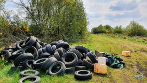 CCTV should be used to tackle illegal dumping