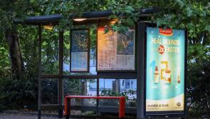 Extra bus shelter is sought for Monasterevin by Kildare Cllr