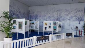 PopUpArt Newbridge launches Easter exhibition in County Kildare's Whitewater Shopping Centre