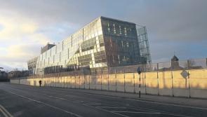 Councillors for the Kildare-Newbridge MD briefed on plans for local parks 