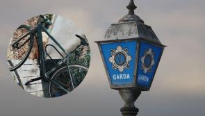 Man arrested as gardai recover stolen bicycle during undercover 'sting' operation