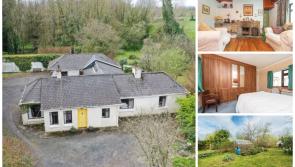 PICTURES: Charming house on almost two acres in Kildare hits the market for big money
