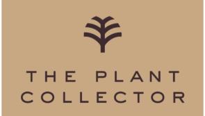 Spring into summer this May Bank Holiday at The Plant Collector 