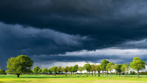 ALERT:  Kildare included in Met Eireann Weather Warning for Tuesday 