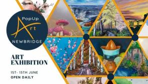 Kildare group PopUpArt Newbridge to launch June Fest 2024 Exhibition