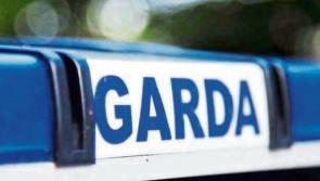 Car theft in North Kildare under garda investigation