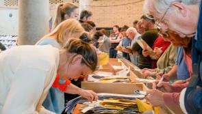 UPDATE Kildare Local Election: Counting continuing in Athy