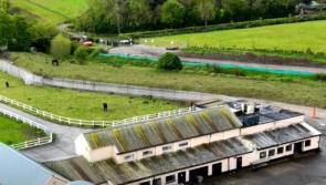Department of Agriculture, Food and the Marine responds to alleged horse mistreatment in Kildare