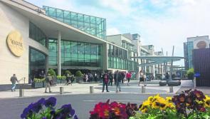 Move it or lose it! The last day to check out Kildare-based art collective's exhibition in Newbridge revealed