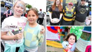 PICTURES: June Fest Family Fun Day in Newbridge 