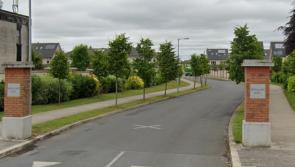 Theft from vehicle in North Kildare reported to gardaí