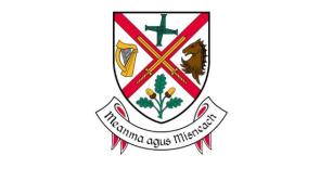 Survey works to lead to three day closure at Thompson Cross, County Kildare