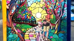 “The support and kindness I received on the street and online has been phenomenal”: Artist commended for colourful new murals in Naas, County Kildare