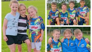 PICTURES: GAA Cúl Camp at Kilcullen GAA Club 
