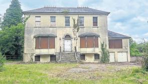 Newbridge development and great house revival opportunity