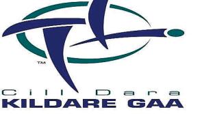 Kildare GAA:  Friday Championship results