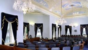 Maternity leave for members of the Oireachtas should be fast-tracked, Kildare Senator says
