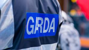 Garda&iacute; make witness appeal after 'young boy' dies in car accident on bank holiday evening