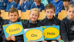 Primary school teachers in Kildare urged to register for the Blue Star Programme