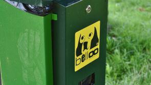 Kildare dog owners encouraged to ‘Clear Our Paths’ as part of Vision Ireland campaign