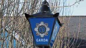 Car set on fire in Carbury, County Kildare