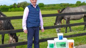 Kildare-based business gets chance to shine at Ploughing Championships 2024