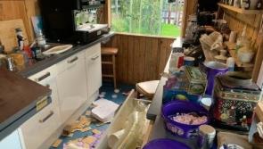 APPEAL: Donations sought by GAA club located near Kildare-Wicklow border following theft incident