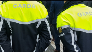 Armed gardaí involved in hunt for suspect after taxi driver robbed at knifepoint
