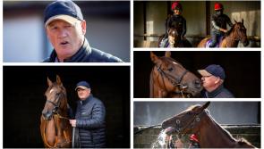 Tour of trainer Willie McCreery's Yard Tour ahead of Irish Champion's Festival 