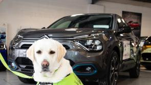 Could YOU be the winner? Irish Guide Dogs for the Blind's Newbridge, County Kildare branch launches annual car raffle