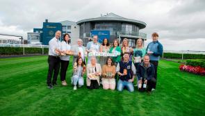 Kildare County Council to showcase 20 local food producers at Taste of Kildare 2024