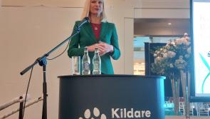 Kildare Biodiversity Conference 2024 to take place in well-known Newbridge establishment