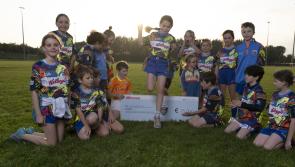 Kildare's Ellistown GAA Club's  £25,000 windfall