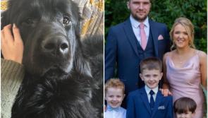 Fundraiser launched after expectant family lose ‘precious’ dog in major house fire