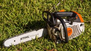 Chainsaws among items stolen from shed in County Kildare