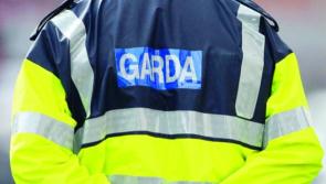Woman, 70s, dies and man, 60s, seriously injured after being struck by car in Cork 