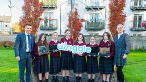 Naas secondary students begin digital programme to boost their professional futures
