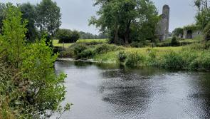 Pedestrian bridge must be built over the River Liffey in Kildare