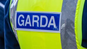 RIP: Man (40s) dies in hospital following early-morning crash in Louth two days ago