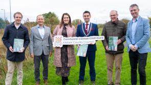 Kildare County Council publish Allotment and Community Garden Strategy 2024 - 2030