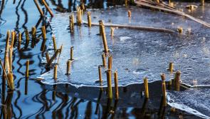 WARNING: Parents and children advised to avoid this one activity as temperatures rise again
