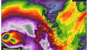 Got a picture from Kildare of damage caused by Storm Éowyn? 
