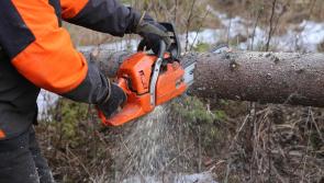 'Well-intentioned' Kildare people urged not to use chainsaws in Storm Éowyn aftermath