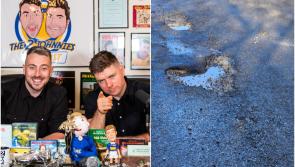 2 Johnnies name road out of Kildare town as one of the worst in Ireland