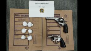 BREAKING: Two firearms discovered in Dublin amid major search operation 