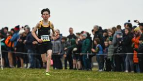 Major success for Kildare student in All-Ireland Cross Country