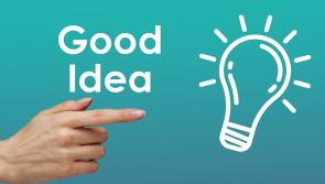 Young Kildare boffins in semi-finals of ECO-UNESCO Young Environmentalist Awards