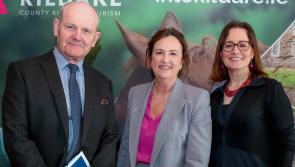 Dozens of tourism experts gather for networking event in Kilkea Castle in Kildare 