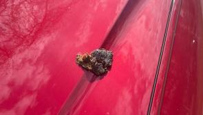 Warning in Kildare after dog poo 'launched' at car in horrifying incident
