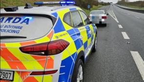 Gardaí arrest Kildare learner driver under the influence but there's more...